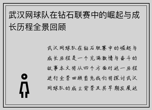 武汉网球队在钻石联赛中的崛起与成长历程全景回顾